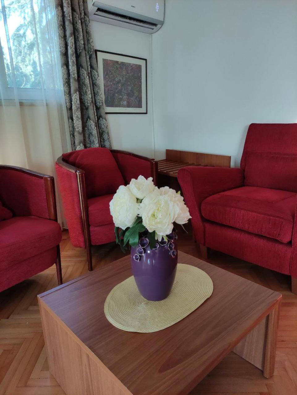 פודגוריצה Hotel Ambasador מראה חיצוני תמונה